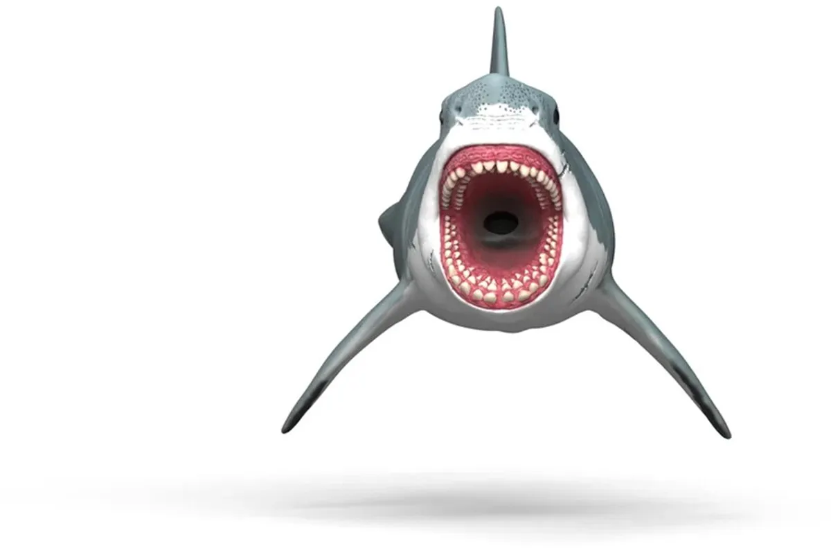 Schleich Megalodon 15055 Dinosaurus - Grijs/wit