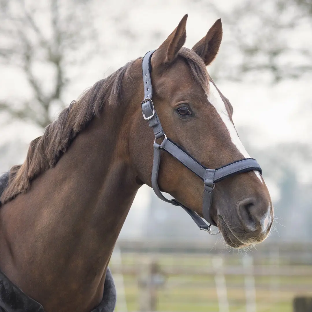 QHP Sensisoft Halster Pony - Grijs