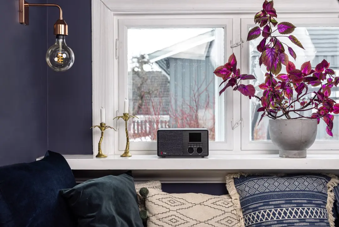 Pinell Supersound 201W DAB+/Internet Radio - Zwart