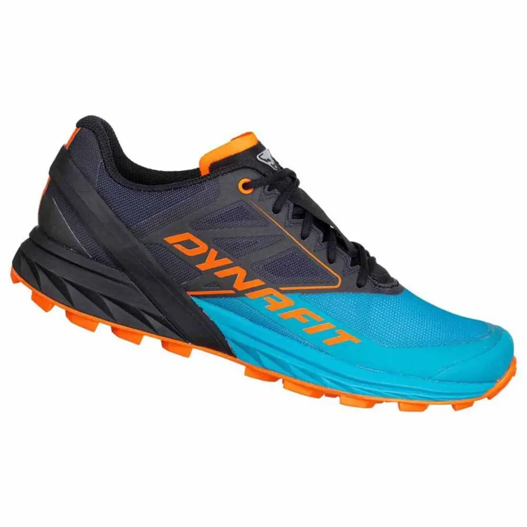 Dynafit Alpine WS