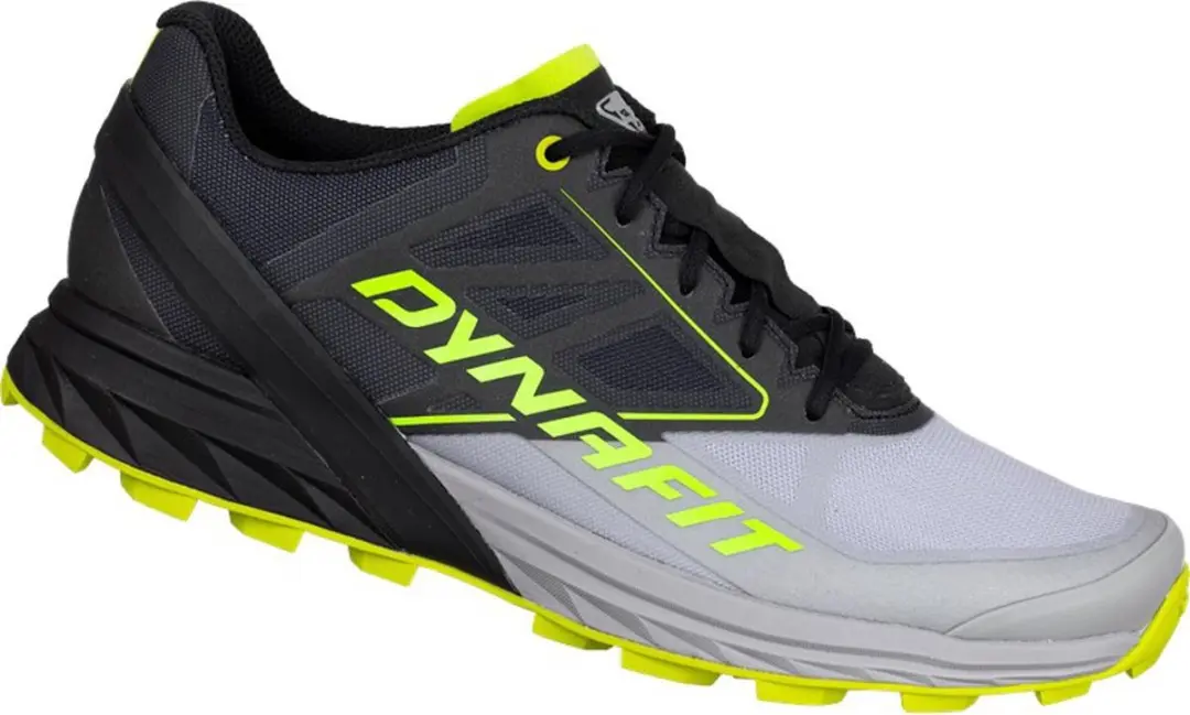 Dynafit Alpine Trailschoenen Zwart EU 40 1/2 Man