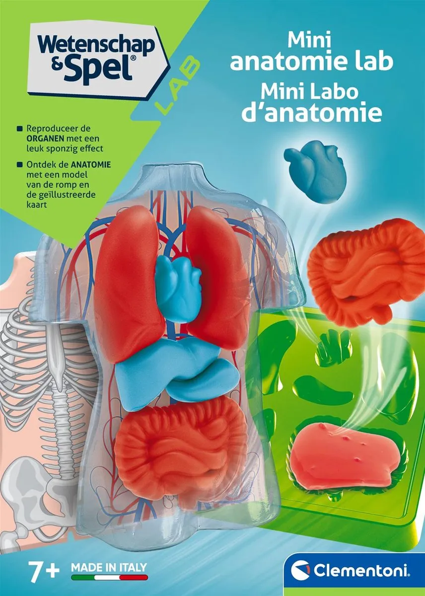 Clementoni Squishy Anatomie - Multicolor - 6 Stuks