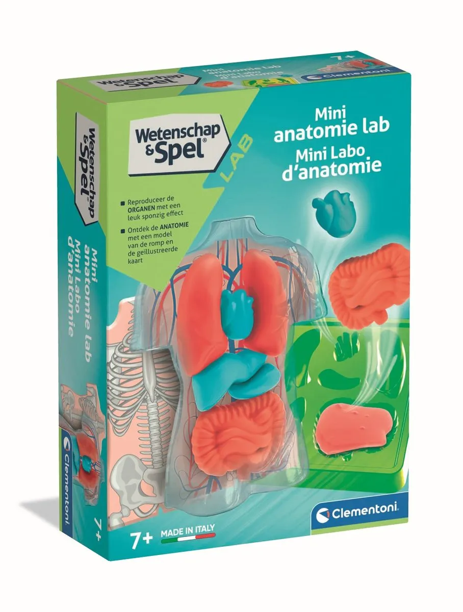 Clementoni Squishy Anatomie