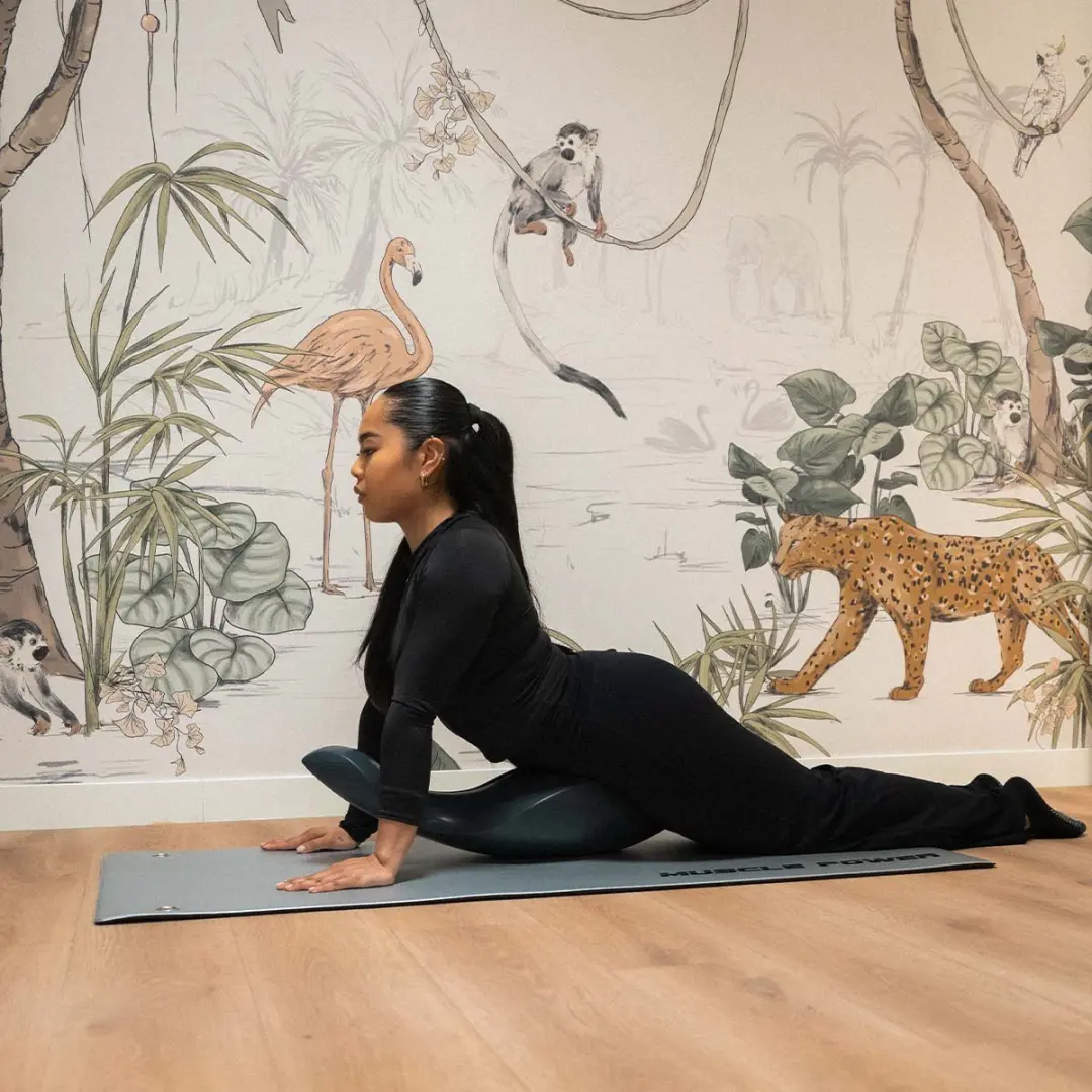 MPOK6687 Pilates dolphin