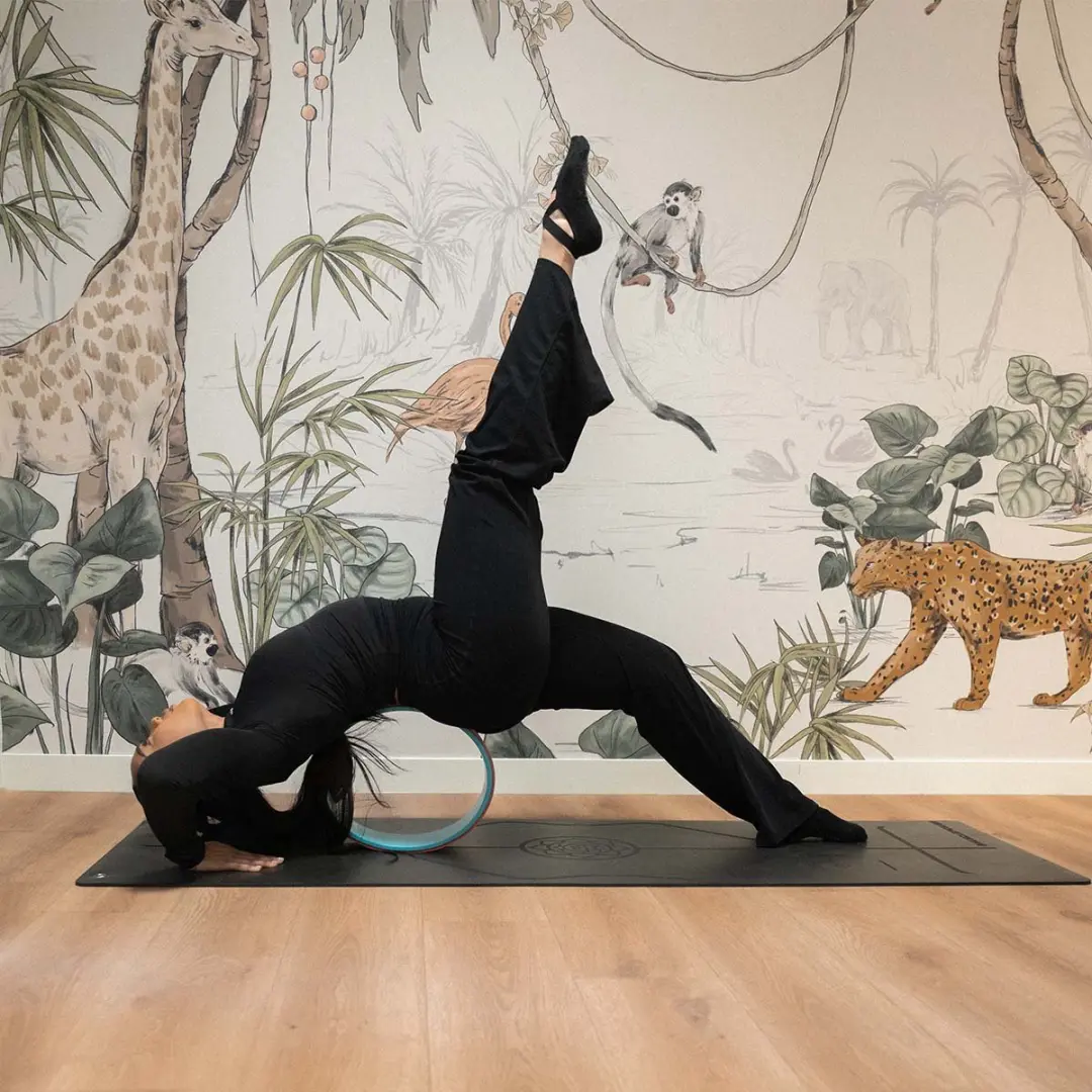 Yoga Wheel