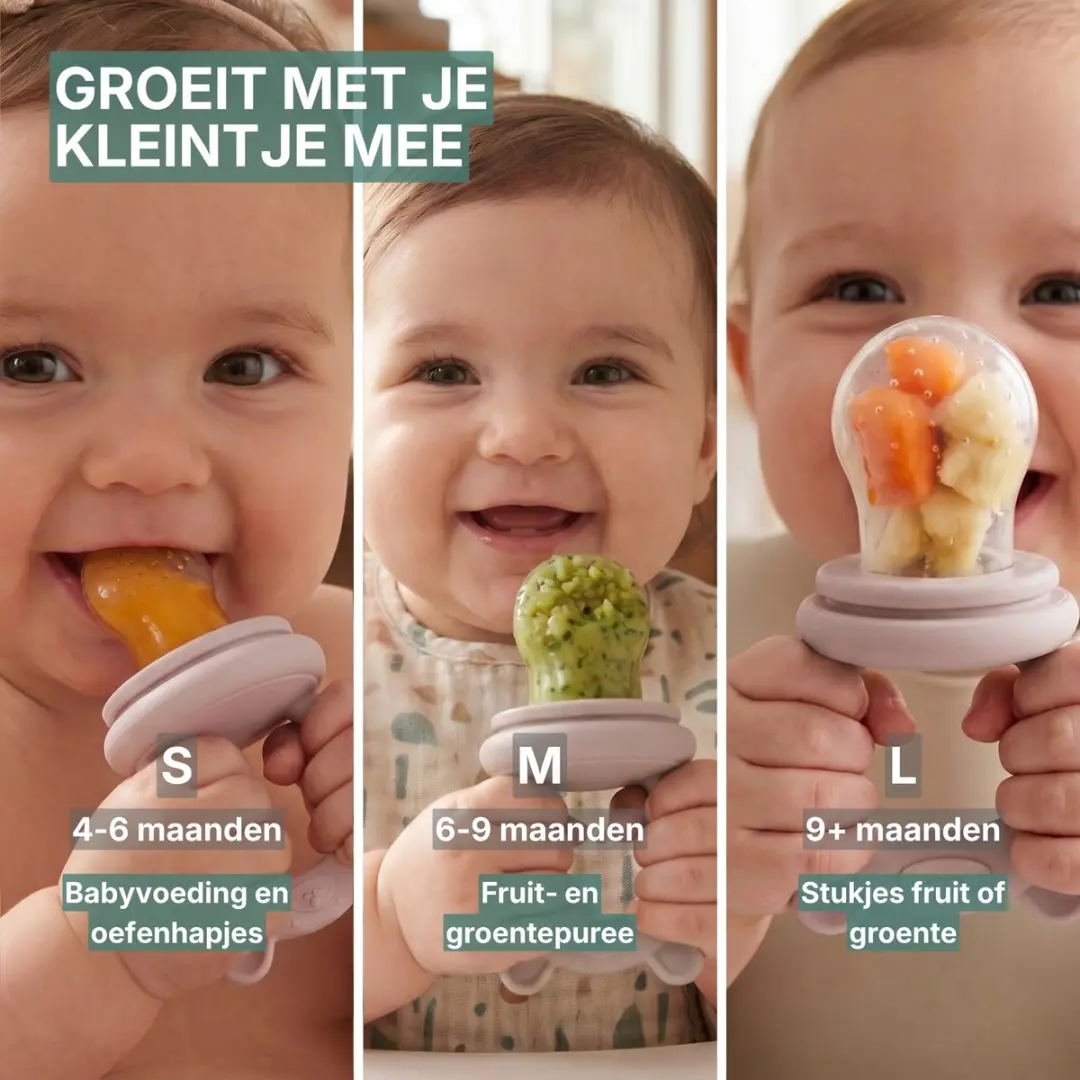 Broemba Fruitspeen & IJsblokjesvorm Roze - 3 Speenmaten S/M/L