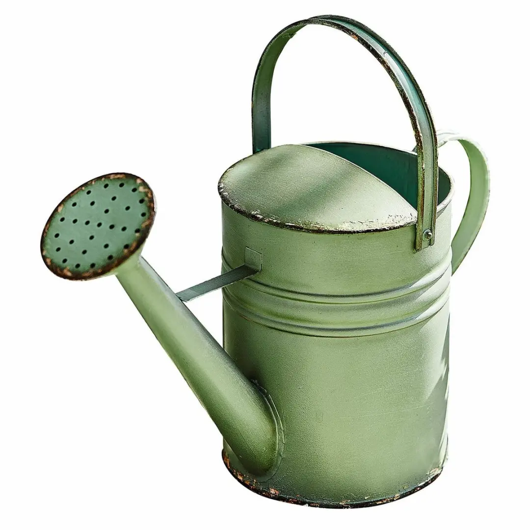 Loberon Gieter Elliana 1.6L