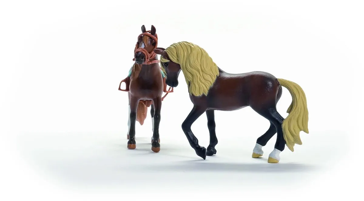 Schleich Horse Club Startersset 42738
