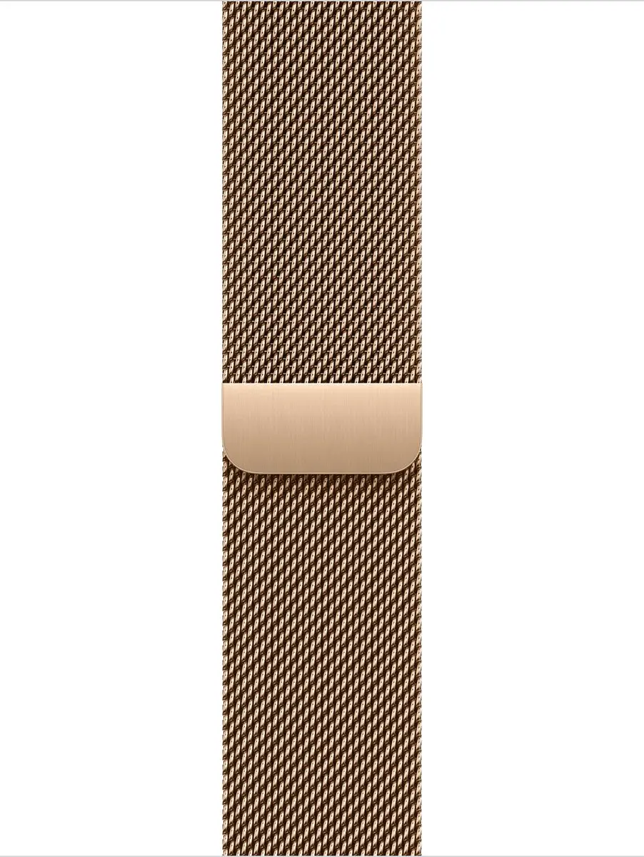 Apple Watch 40mm Milanese Loop