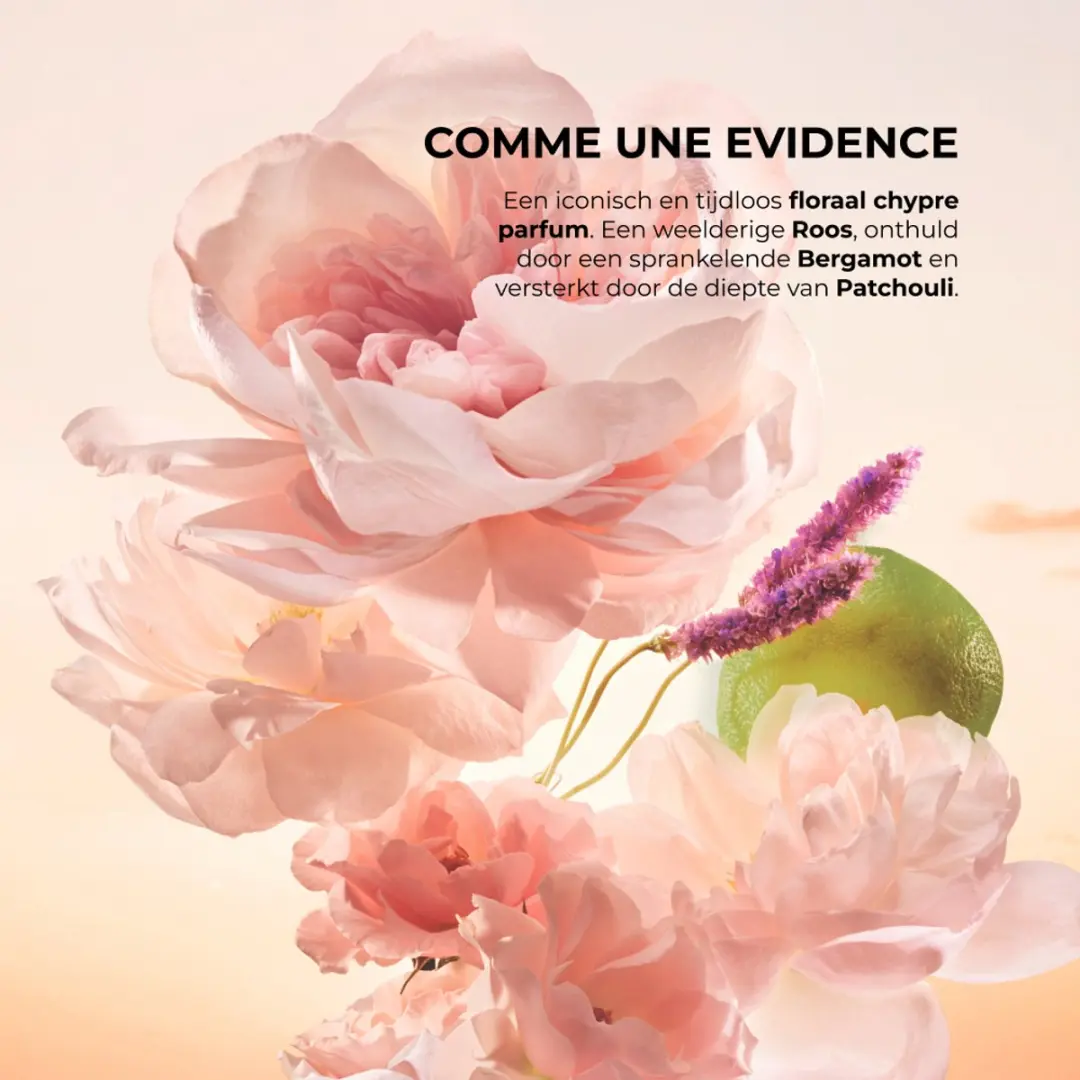 Yves Rocher Comme une Évidence 3-delig Cadeauset - 50ml Eau de Parfum + 75ml Douchegel & Bodymilk - Roos/Bergamot/Patchoeli - afbeelding 3 van 5