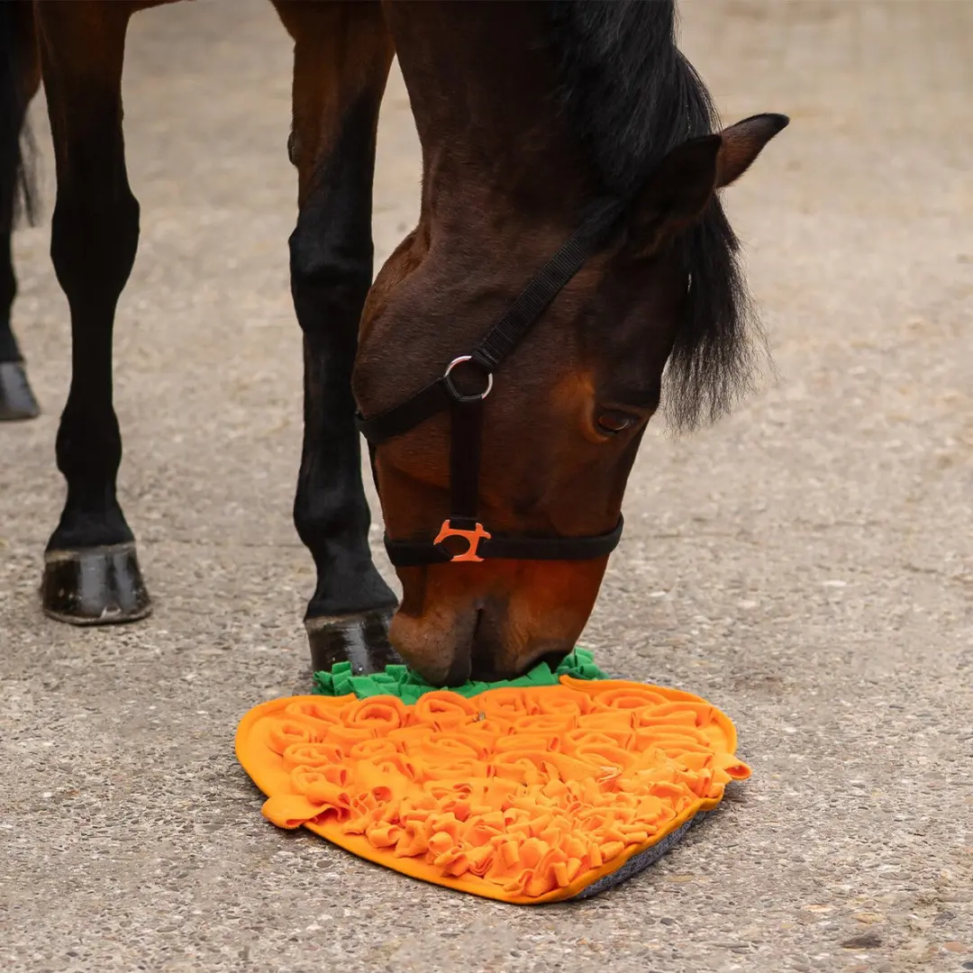 QHP Snuffelmat voor Paarden - Oranje - afbeelding 3 van 3