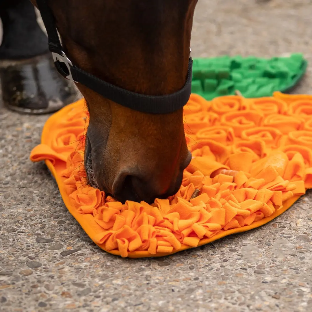 QHP Snuffelmat voor Paarden - Oranje - afbeelding 2 van 3