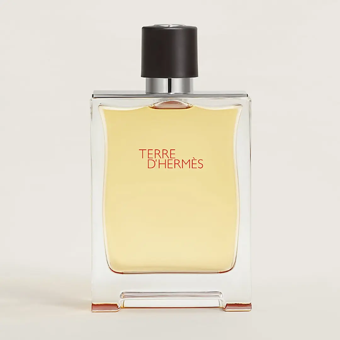 Hermès Terre d’Hermès Flacon H Limited Edition Eau de Toilette 100ml