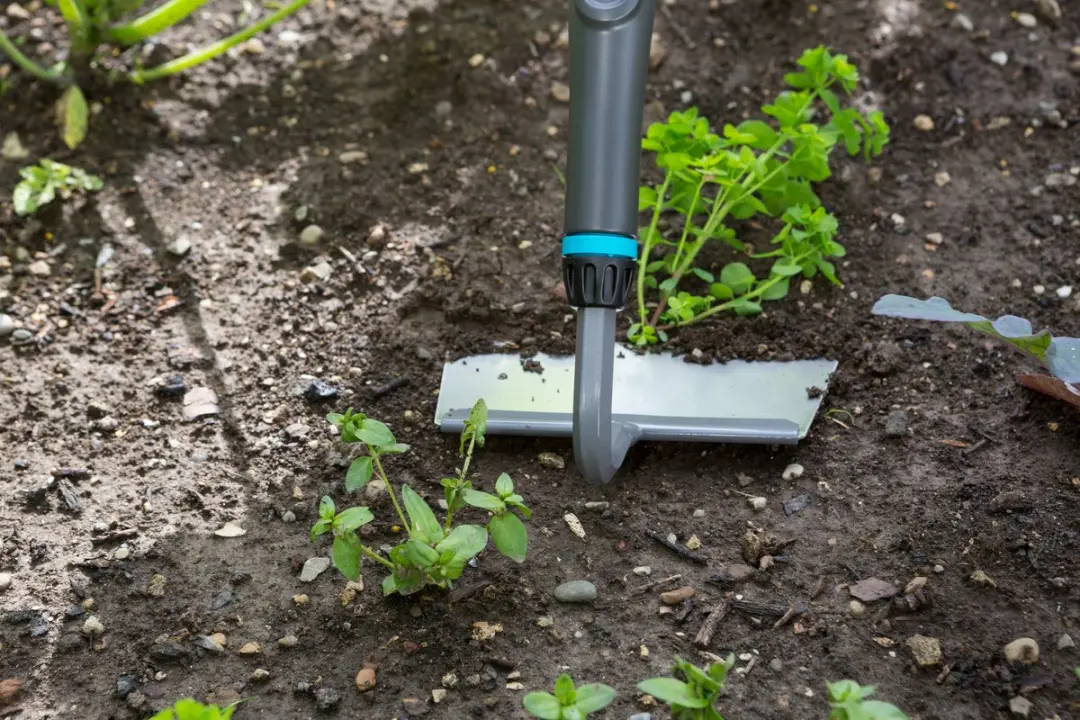 Gardena NatureLine Onkruidsteker 17109-20