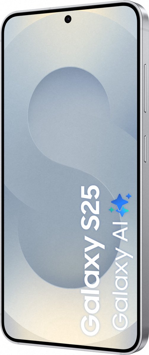 Samsung Galaxy S25 5G - 256GB - Silver Shadow