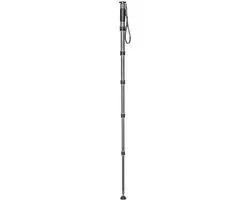 Gitzo GM4562 eXact Carbon Monopod Series 4