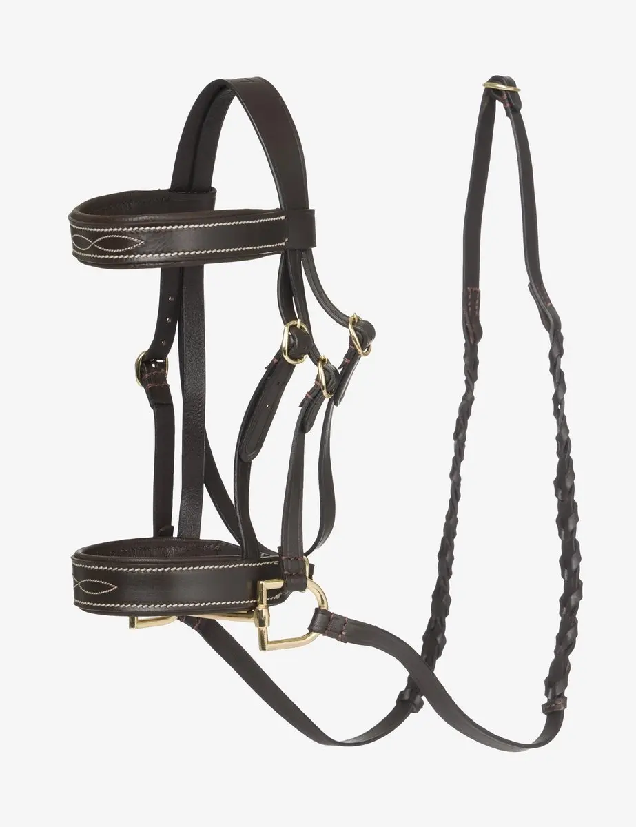Lemieux Hobby Horse Hoofdstel
