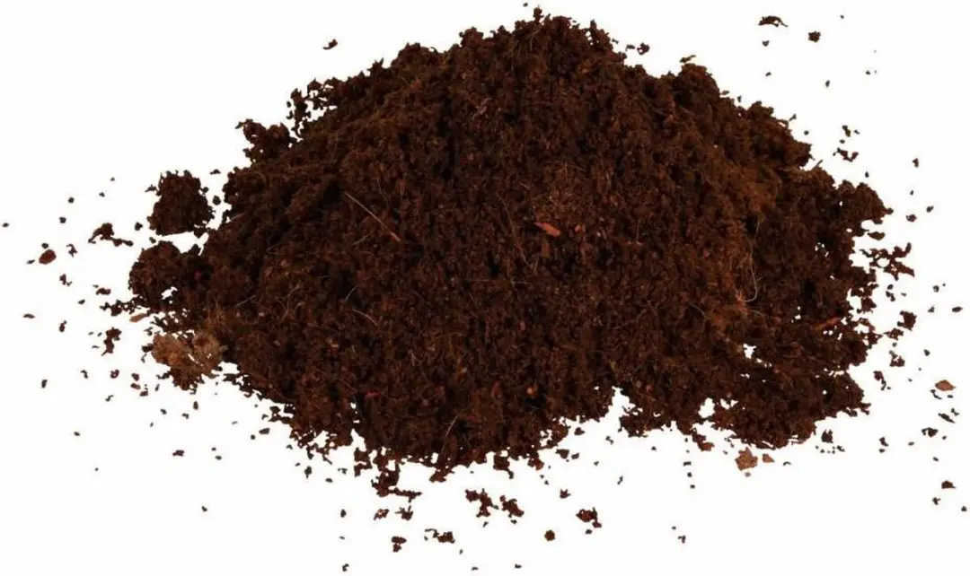 Trixie Kokosvezel Bodembedekking Terrarium - 9 Liter - afbeelding 4 van 6