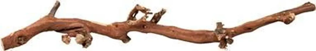 Trixie Druiventakken 40-60cm