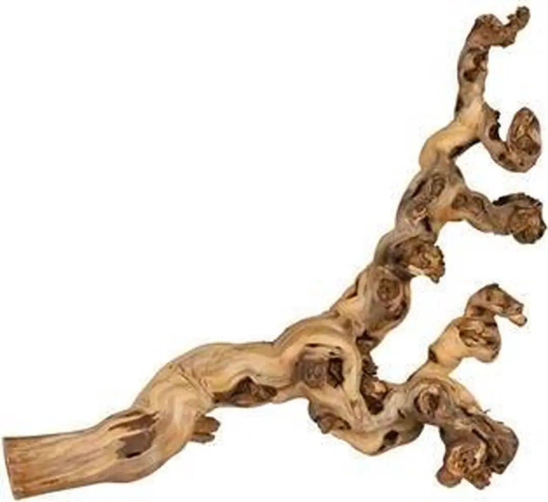 Trixie Druiventakken 40-60cm - 5 Stuks - afbeelding 4 van 6