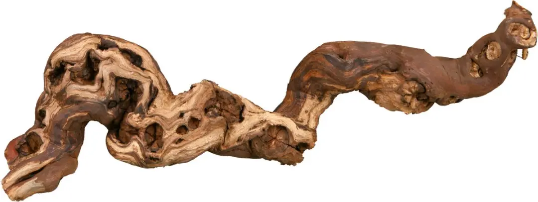 Trixie Druiventakken 40-60cm - 5 Stuks - afbeelding 5 van 6