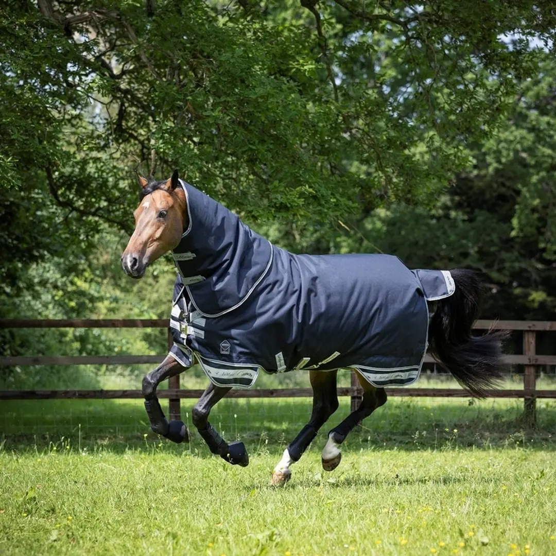 Le Mieux Arika Storm-Tek Rug