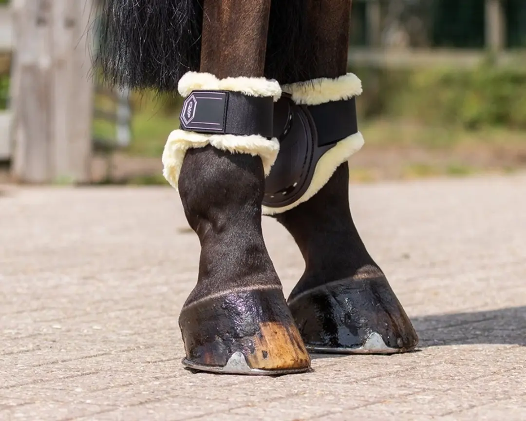 QHP Tario Strijklappen Pony - 2 Stuks - Bruin