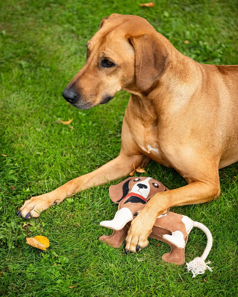 QHP Stable Buddy Hondenspeelgoed - Bruin