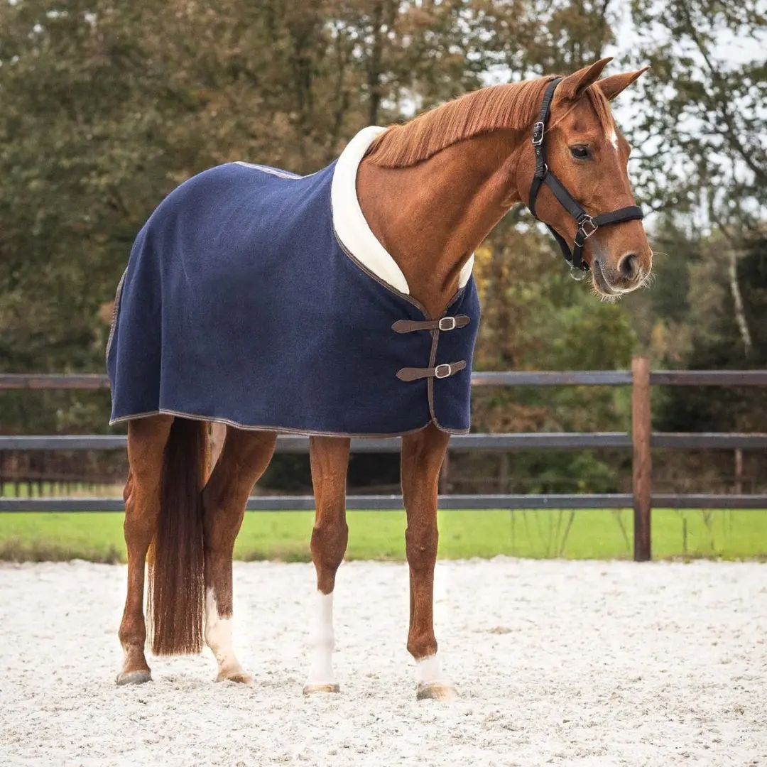QHP Wollen Deken Luxe Navy 205 - 650g
