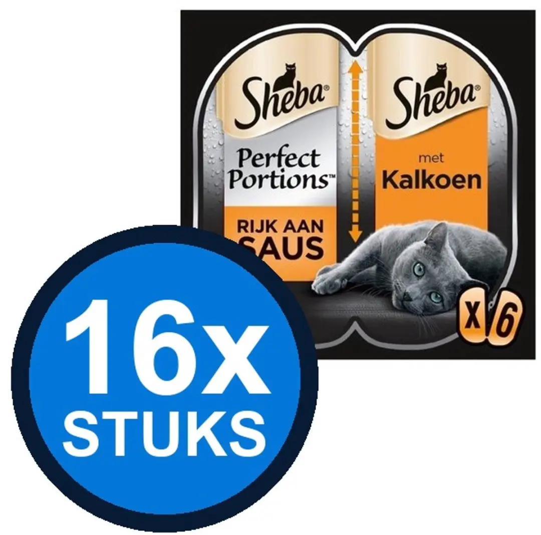 16x Sheba