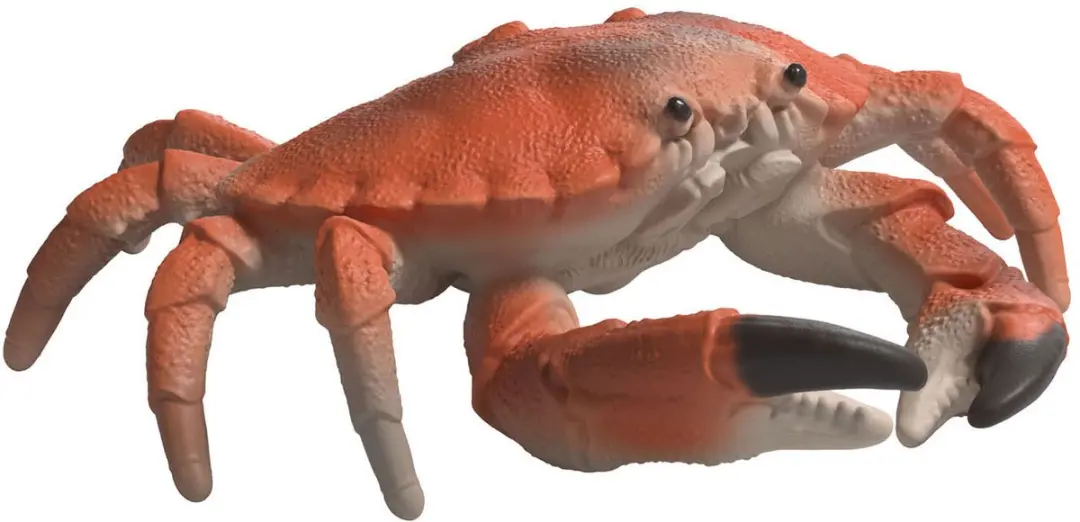 Schleich Zeedieren-ontdekkingsset - afbeelding 5 van 6