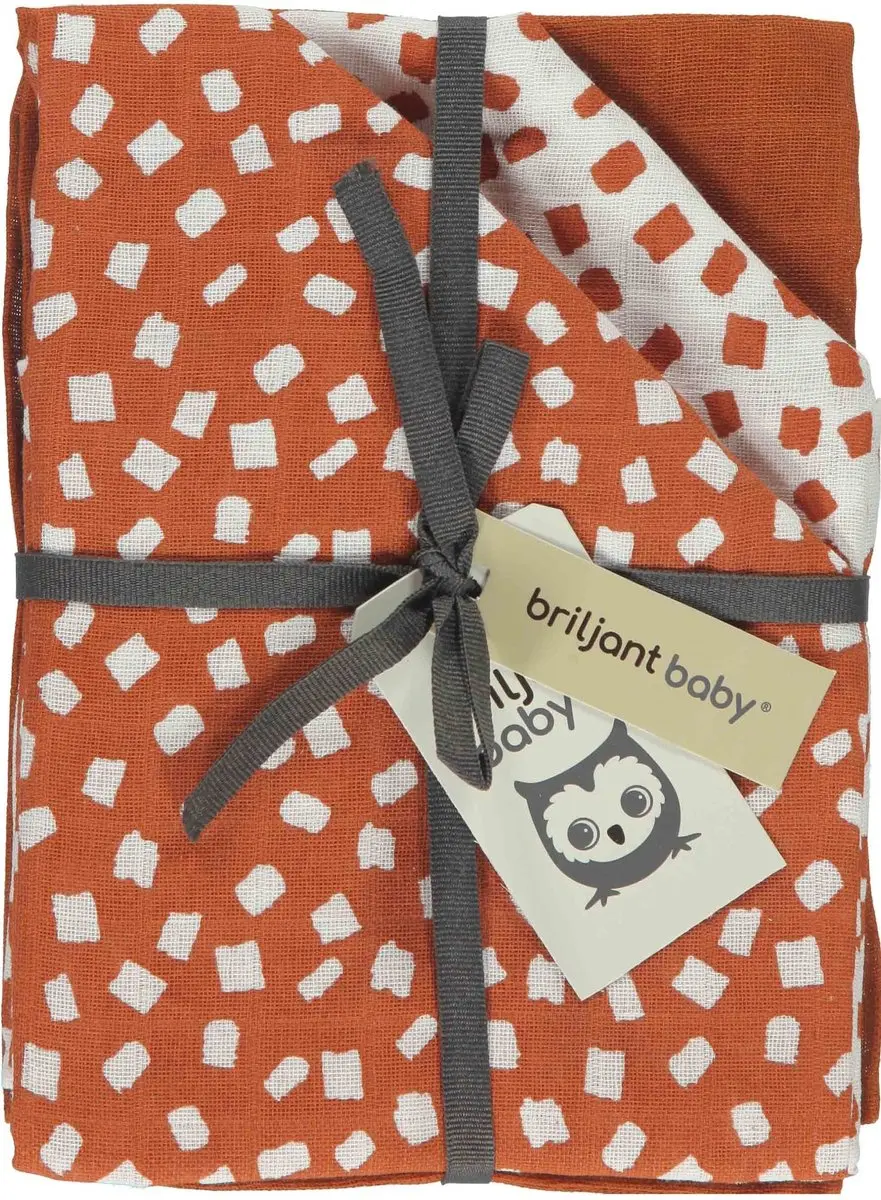 Briljant Baby