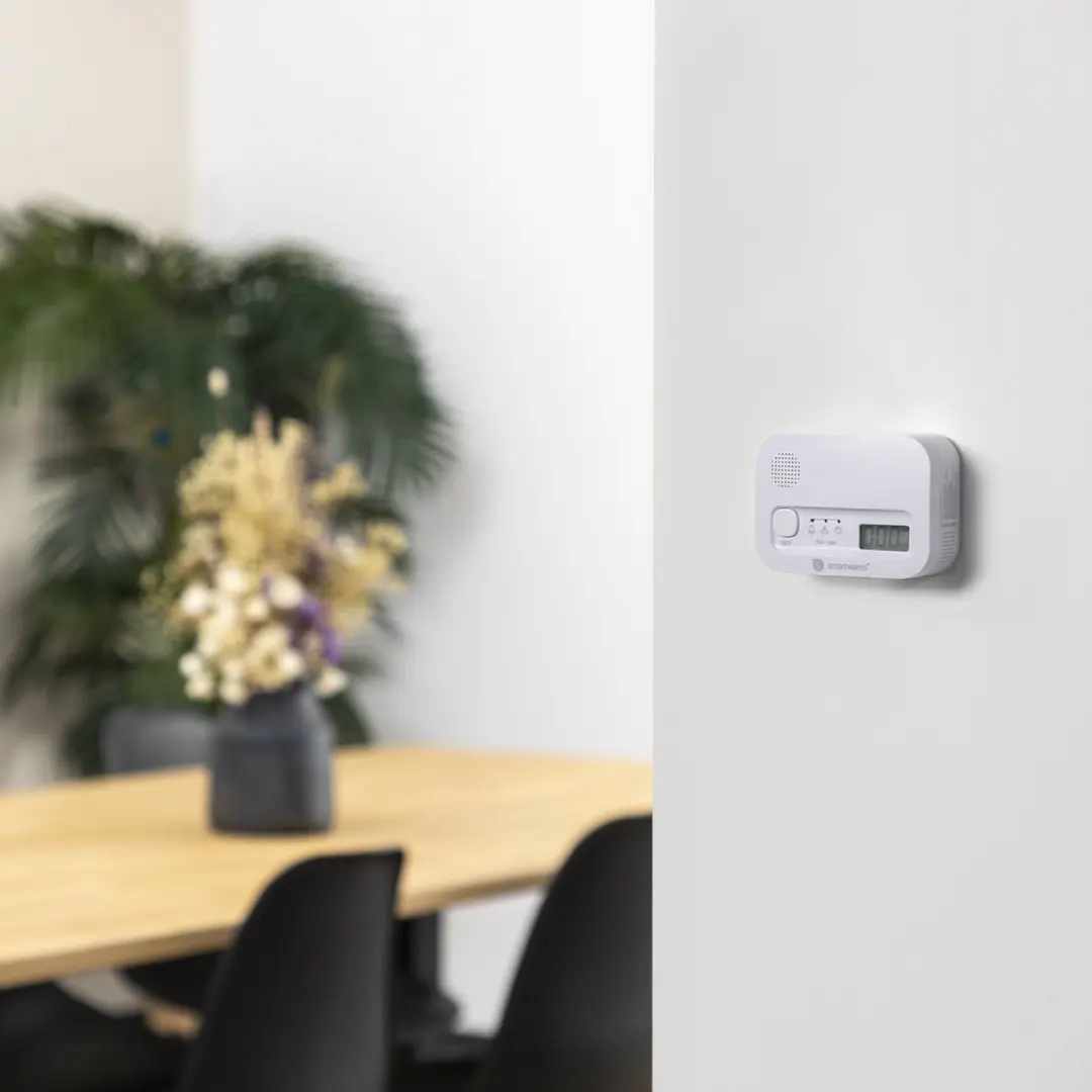 Smartwares FSE-19204 Rookmelder & Koolmonoxidemelder - 2 Stuks