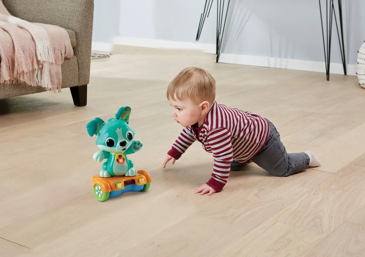 VTech Pak me dan Puppy 80-547523 Interactief Speelgoed - Groen