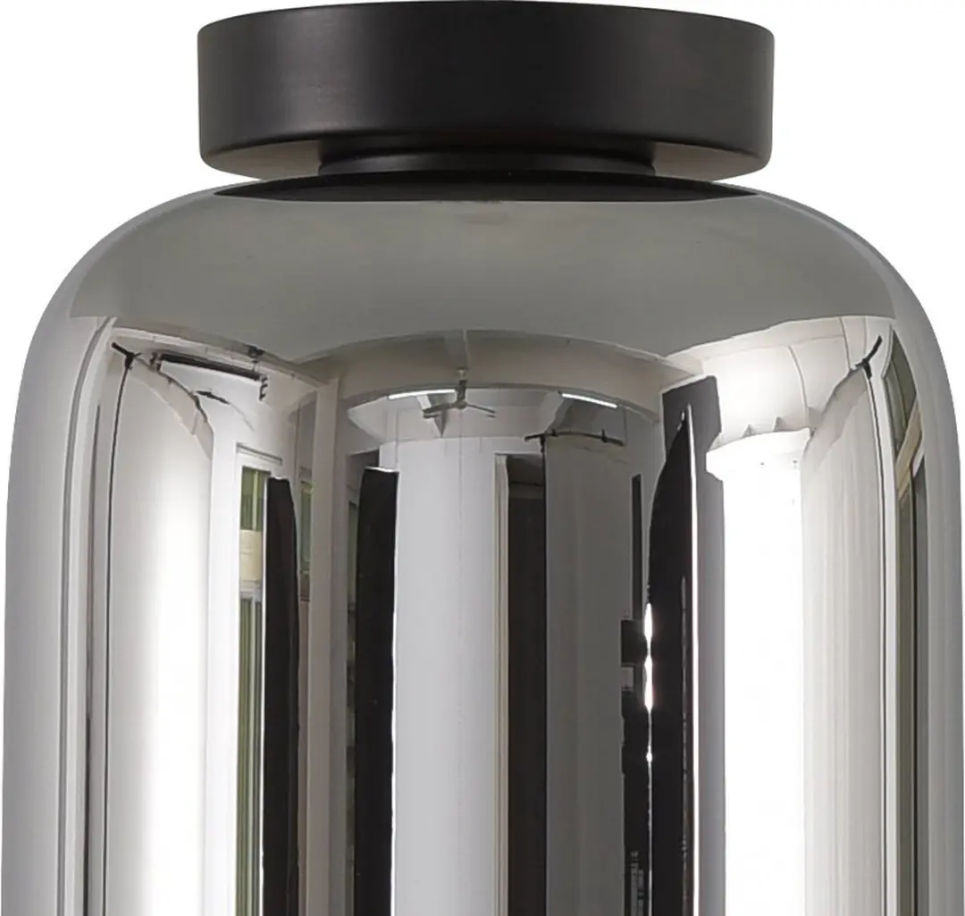 Artdelight Plafondlamp Botany Ø18cm - Rookglas - Zwart