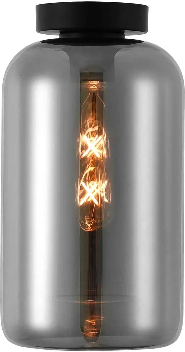 Artdelight Plafondlamp Botany Ø18cm