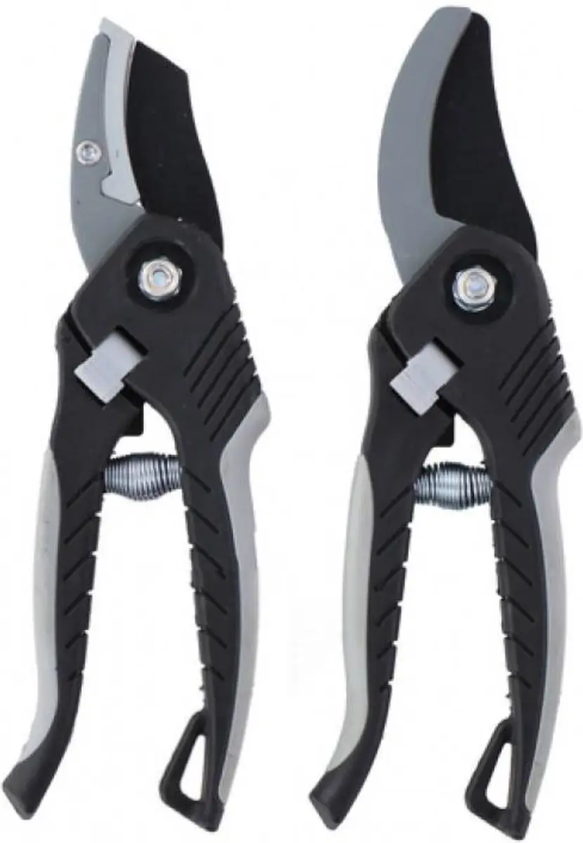 Kinzo Snoeischaar & Takkenschaar Set 2X
