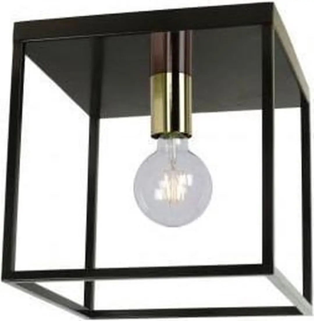 Groenovatie Metalen Plafondlamp Zwart Messing 25x25cm