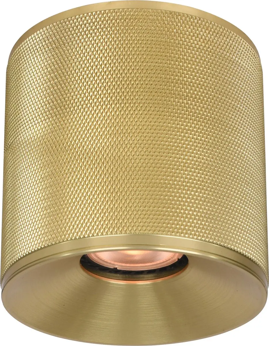 Artdelight Plafondlamp Costa Ø10,5cm GU10