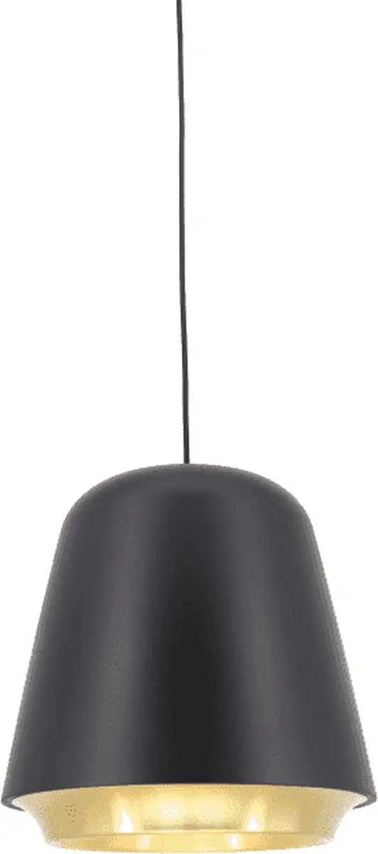 Artdelight Hanglamp Santiago - Zwart/Goud - E27 - 35cm