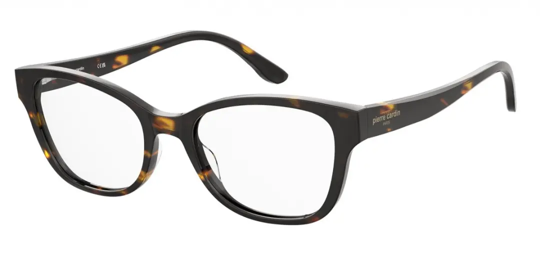 Brillen met correctie Pierre Cardin P.C. 8531 086