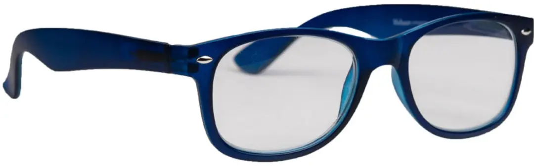 4 Seasons Outdoor Melleson Leesbril Wayfarer Mat Blauw +2.00