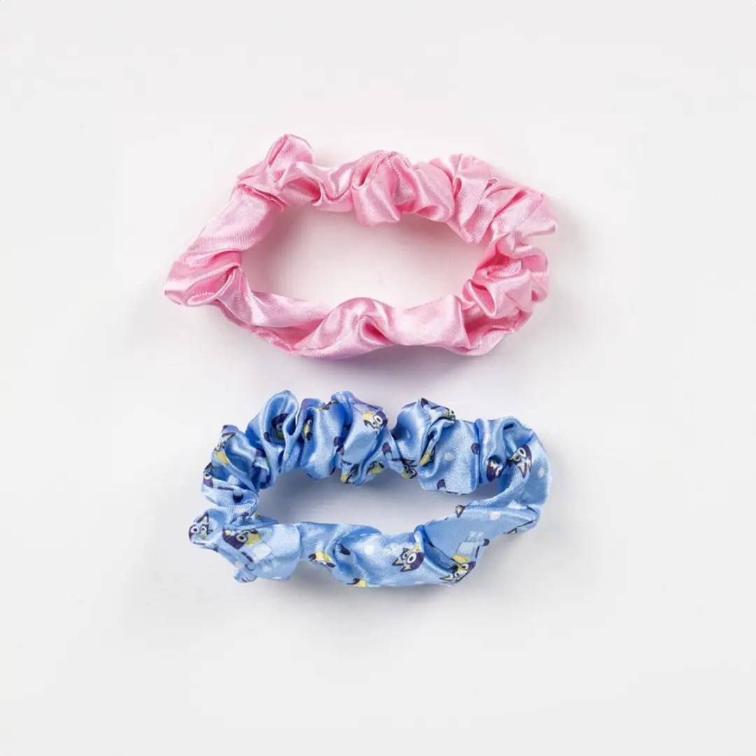 Bluey Haaraccessoireset - 5 Stuks - Multi