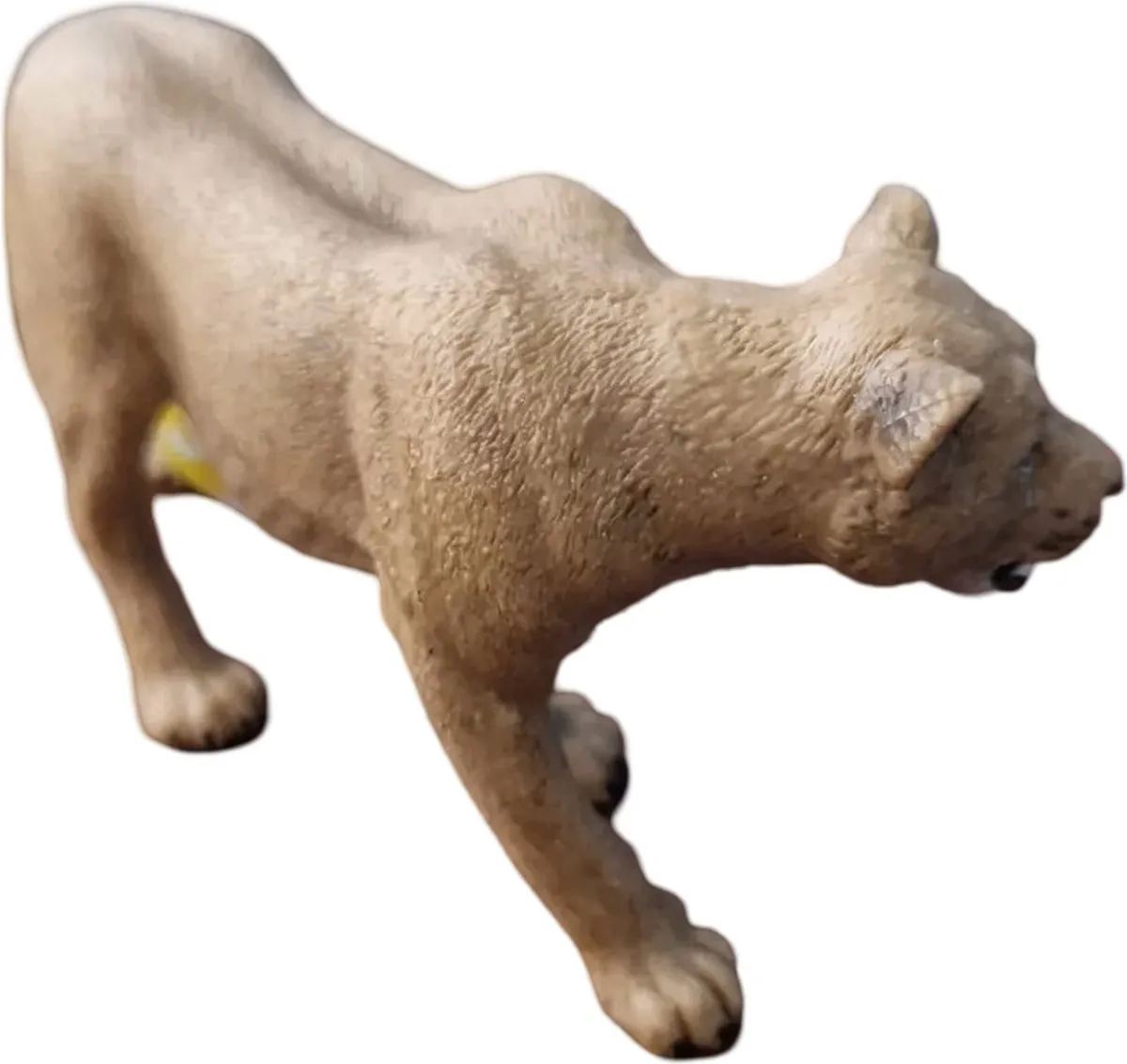 Schleich Wild Life Leeuwin 11cm S17026