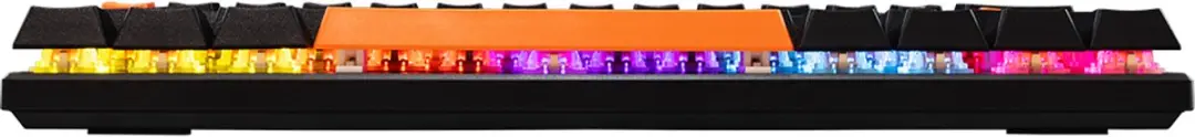 Baracuda DOLPHIN RGB 60%