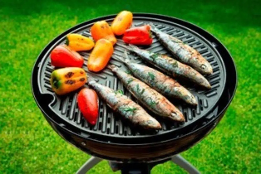 Cadac Grillogas BBQ Rooster Ø36cm - Zwart - 8600-200