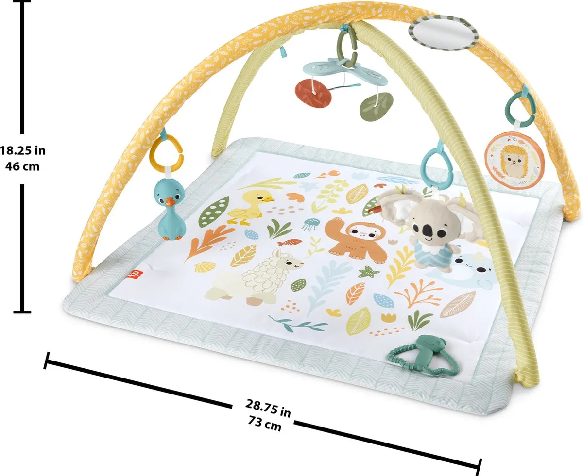 Fisher-Price Simply Senses Babygym - Multicolor