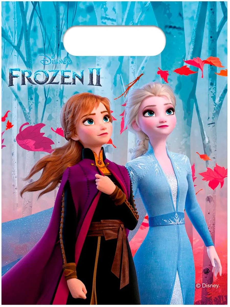 Disney Frozen 2 Feestzakjes