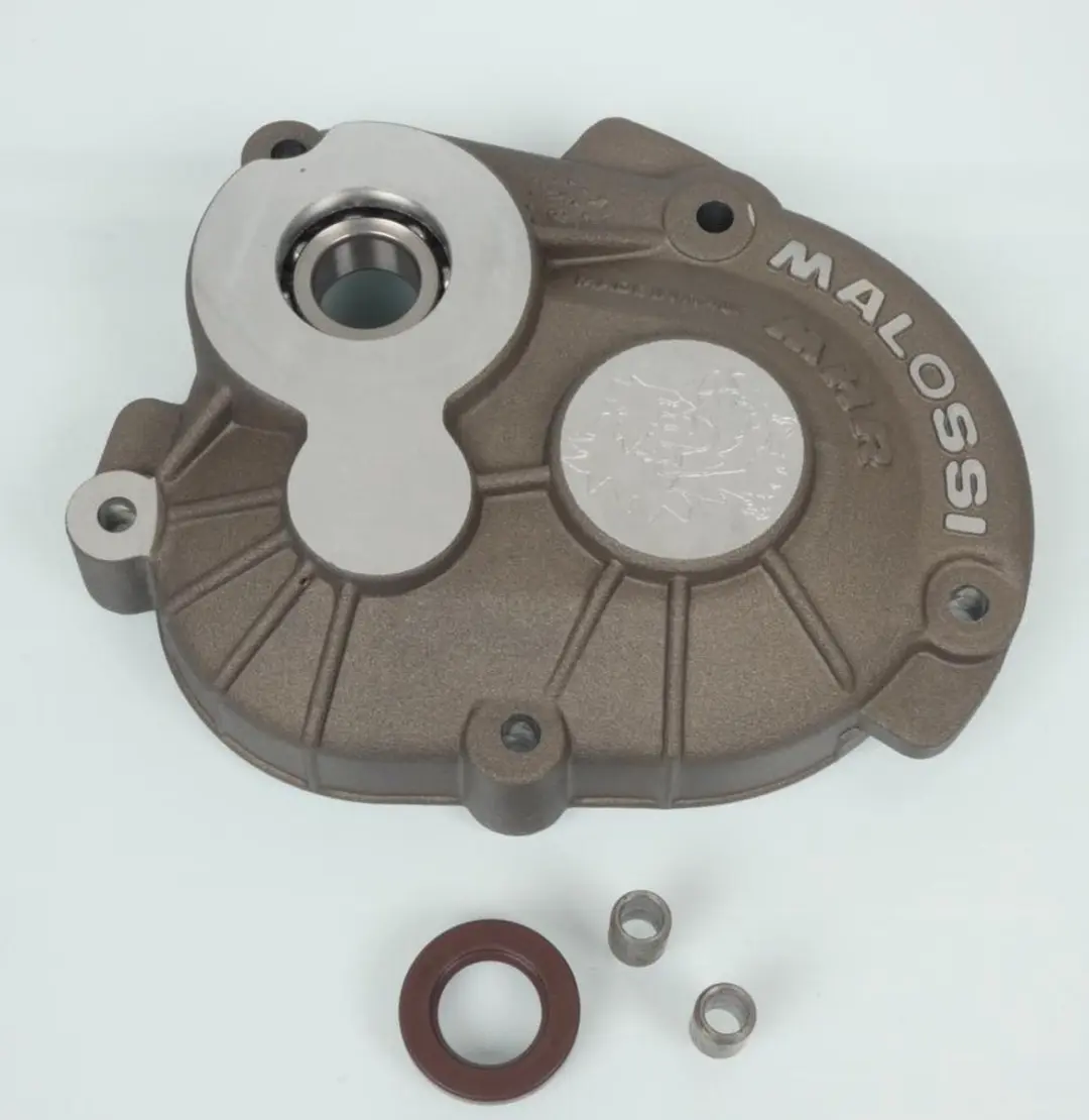 Carter transmission Malossi pour scooter Piaggio 50 Typhoon 2007-2010 Roller Cra