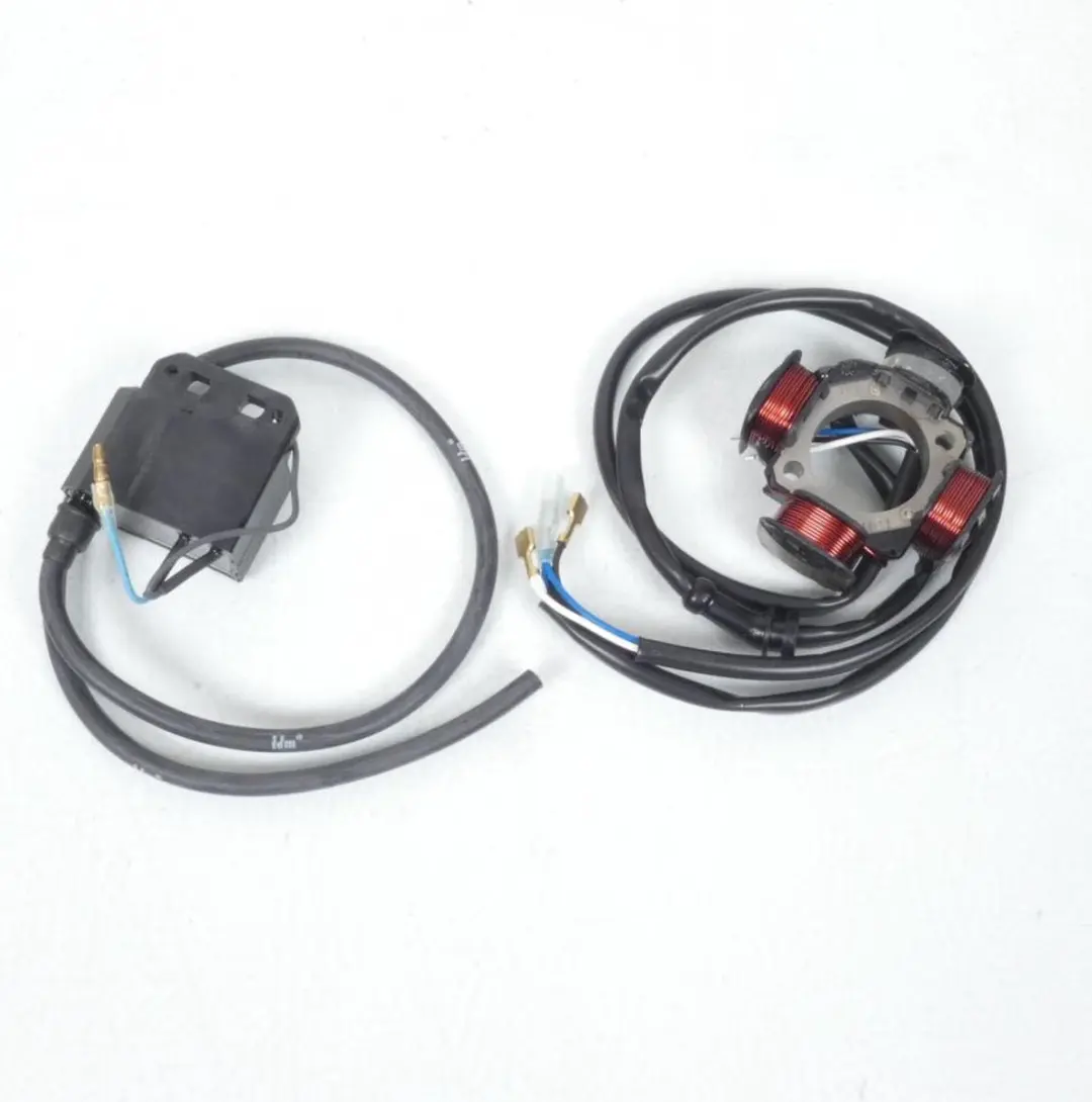 Stator rotor d allumage Polini pour scooter Piaggio 125 Vespa Primavera Et3 Avan